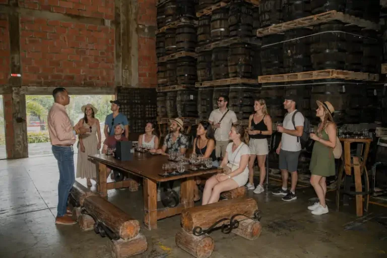 Excursion to the Barceló Rum Factory Located in San Pedro